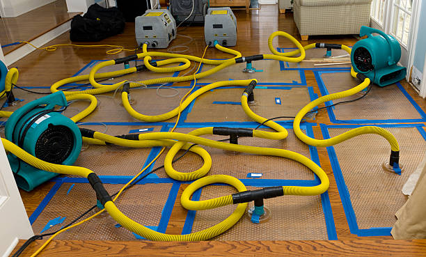 Professional Structural Drying And Dehumidification technician working in Bloomington, IN